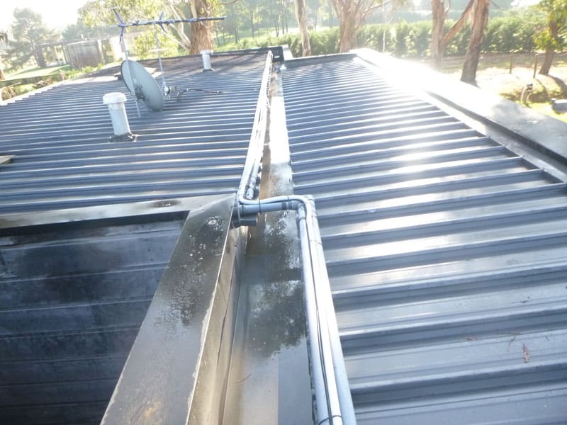 Feingold-Merricks-May-2019-3