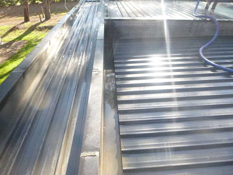 Feingold-Merricks-May-2019-4