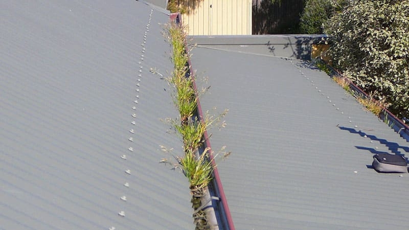 Gutter-Before-metal-roof-1