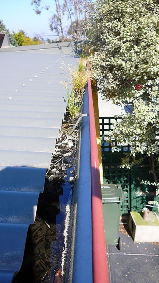 Gutter-Cleaning-Hastings-1