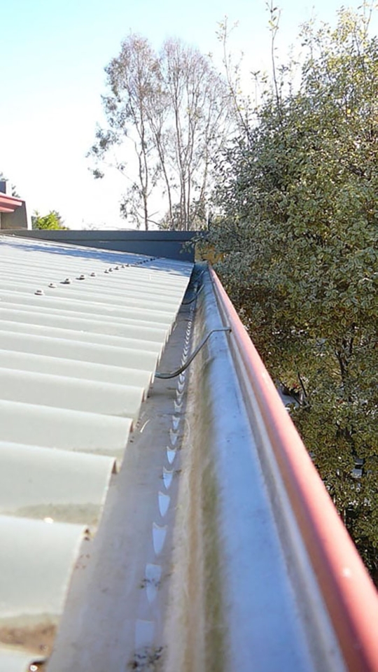 Gutter-Cleaning-Hastings-2
